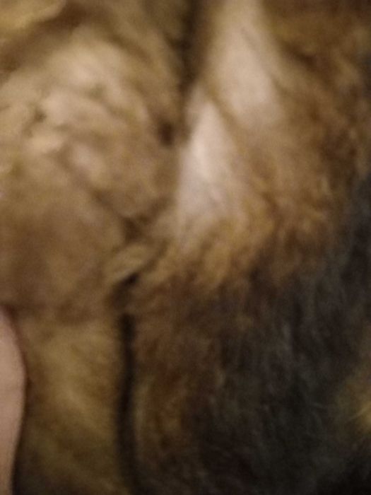 Натуральная пушистая шуба,  полушубок, мягкая выделка.