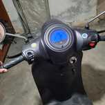 moto tianying ty125t-s 2023