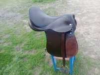 Cavalo, égua,poldro