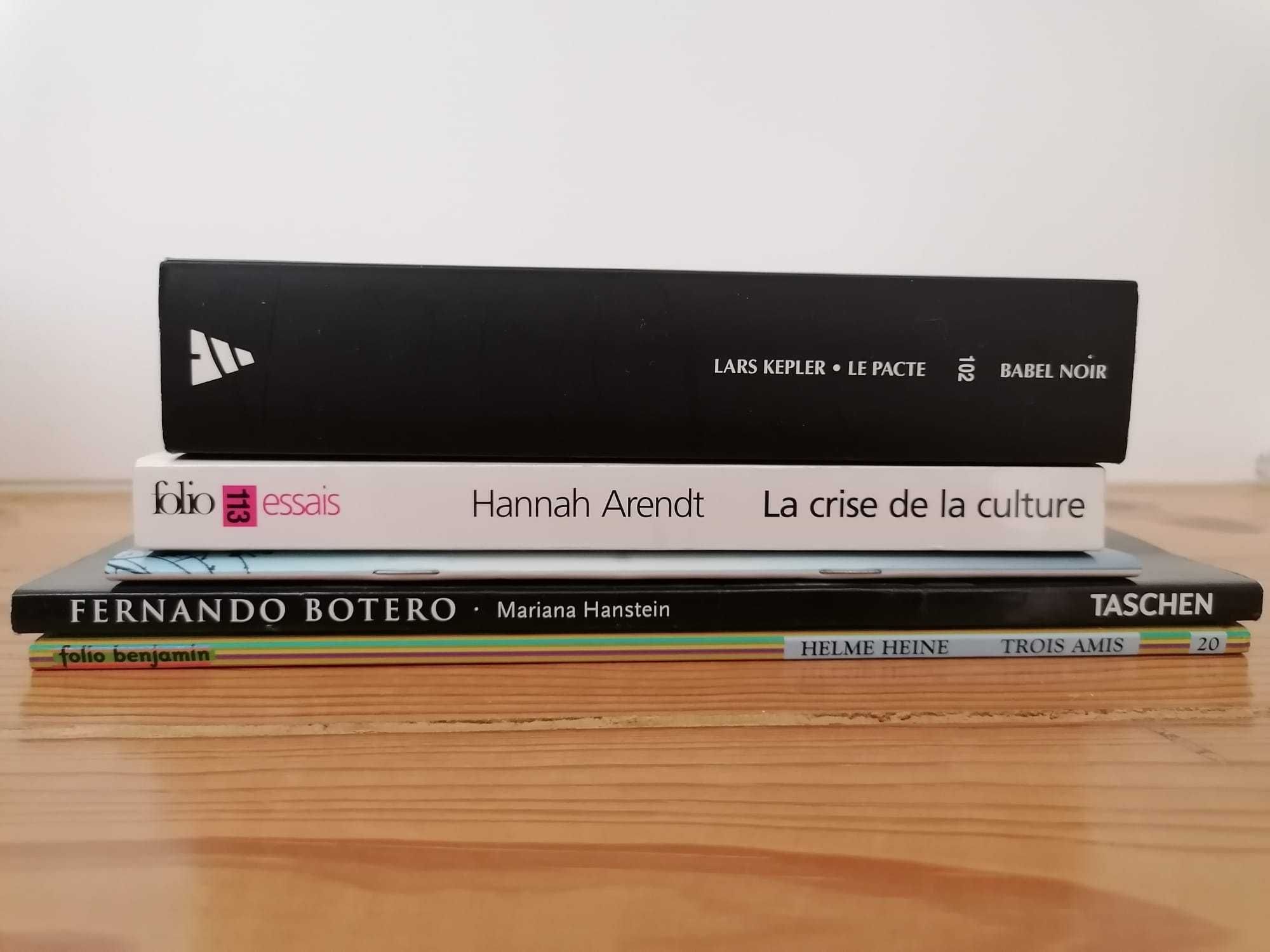 Livros em francês - 5 livros por 5€