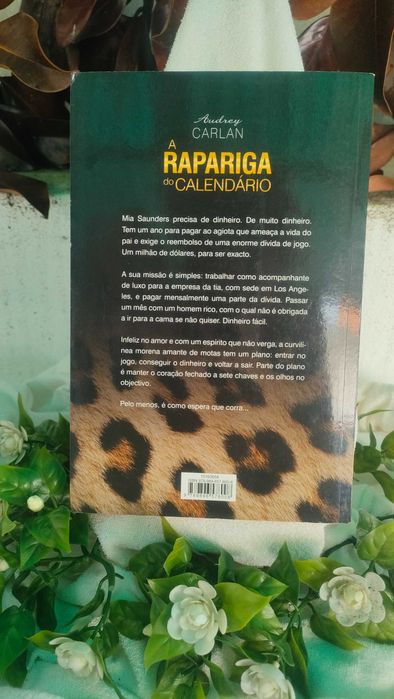 A Rapariga do Calendário  de Audrey Carlan