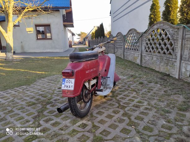 Jawka kaczka 50 ogar