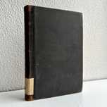 1895 г. «Ф.М. Достоевский. Дневник писателя. Критические статьи»