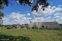 Quinta de 39 790m2 com casa de 5 assoalhadas para recuperar. Tem água