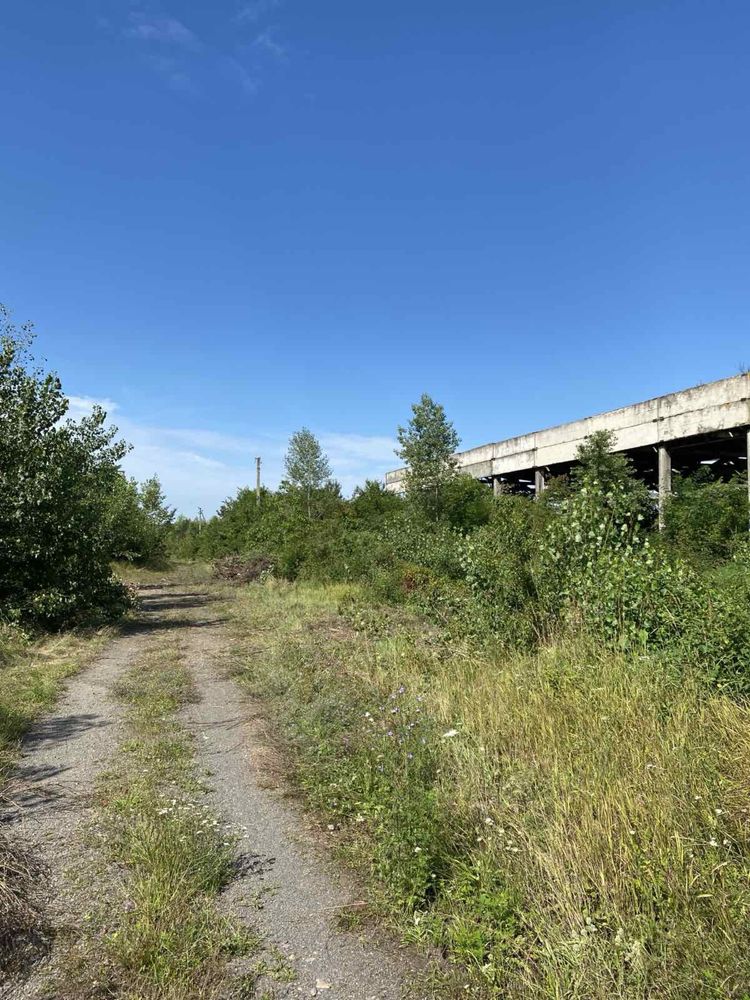 Продаж земельної ділянки с. Чепа - 3,36 га