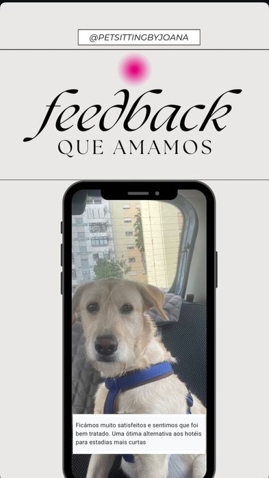Pet sitting acessível: estadias, visitas, passeios e pet táxi.