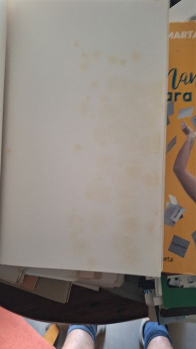 Estudos sobre artes plásticas anos 40 em Portugal Fernando Guedes