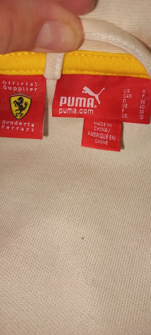 Puma Ferrari xs czerwony kremowy kołnierzyk