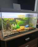 Akwarium z osprzetem 100l