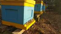 Odkłady pszczele 5-ramkowe - ramka wielkopolska