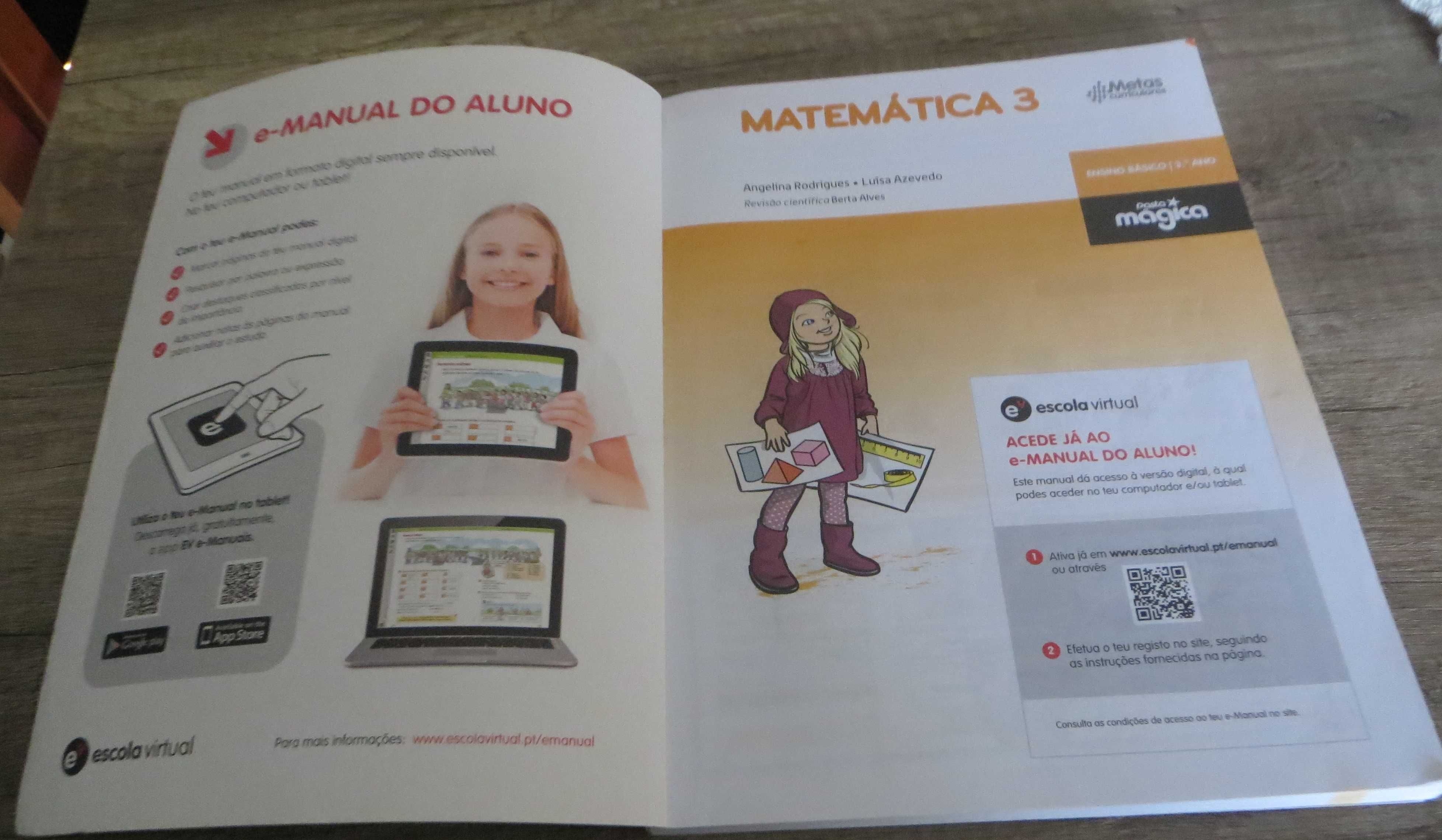 Livro Manual Matemática Ensino básico 3º Ano - Como Novo