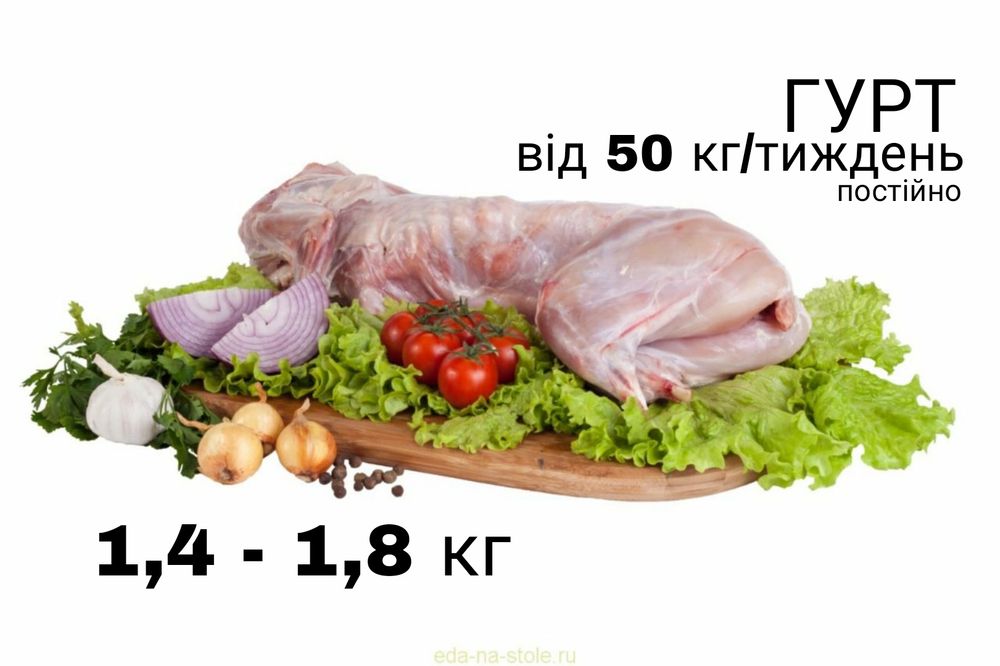 Продам м'ясо кроля гуртом