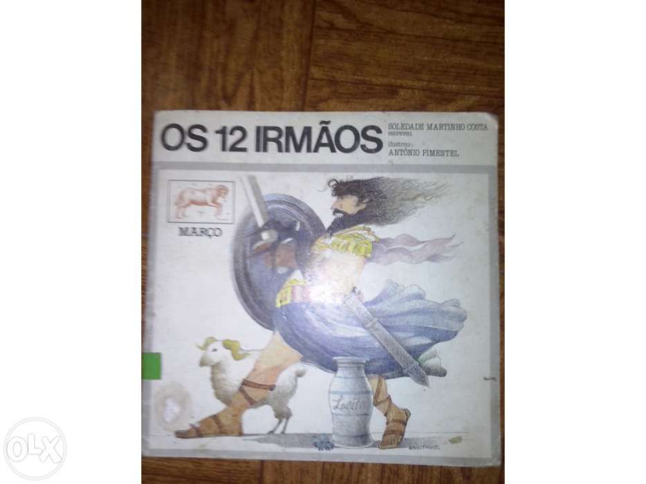 Livro infantil os 12 irmaos
