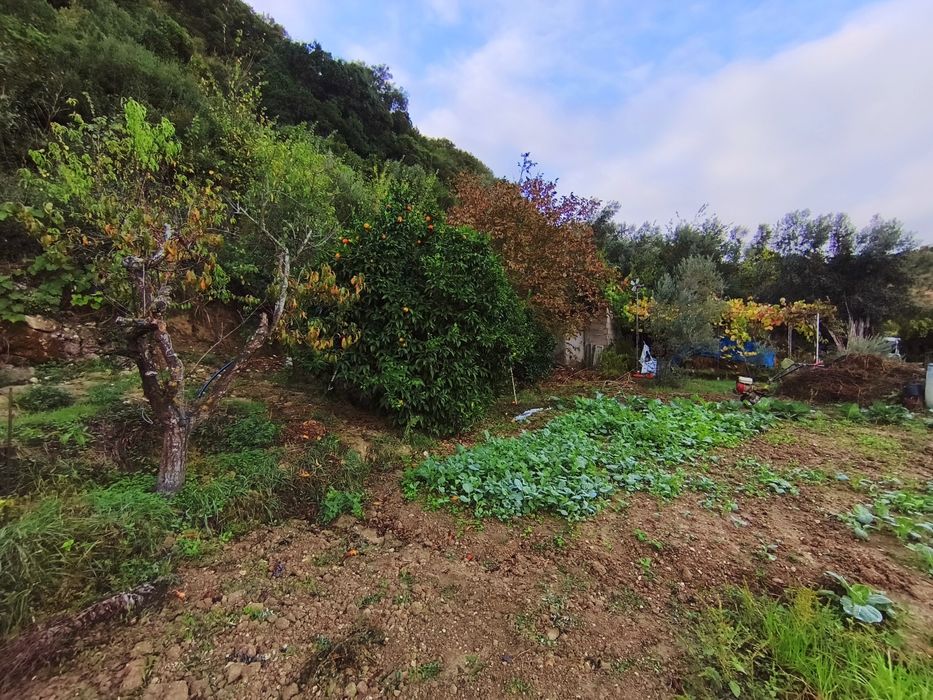 Quintinha às portas de Lisboa