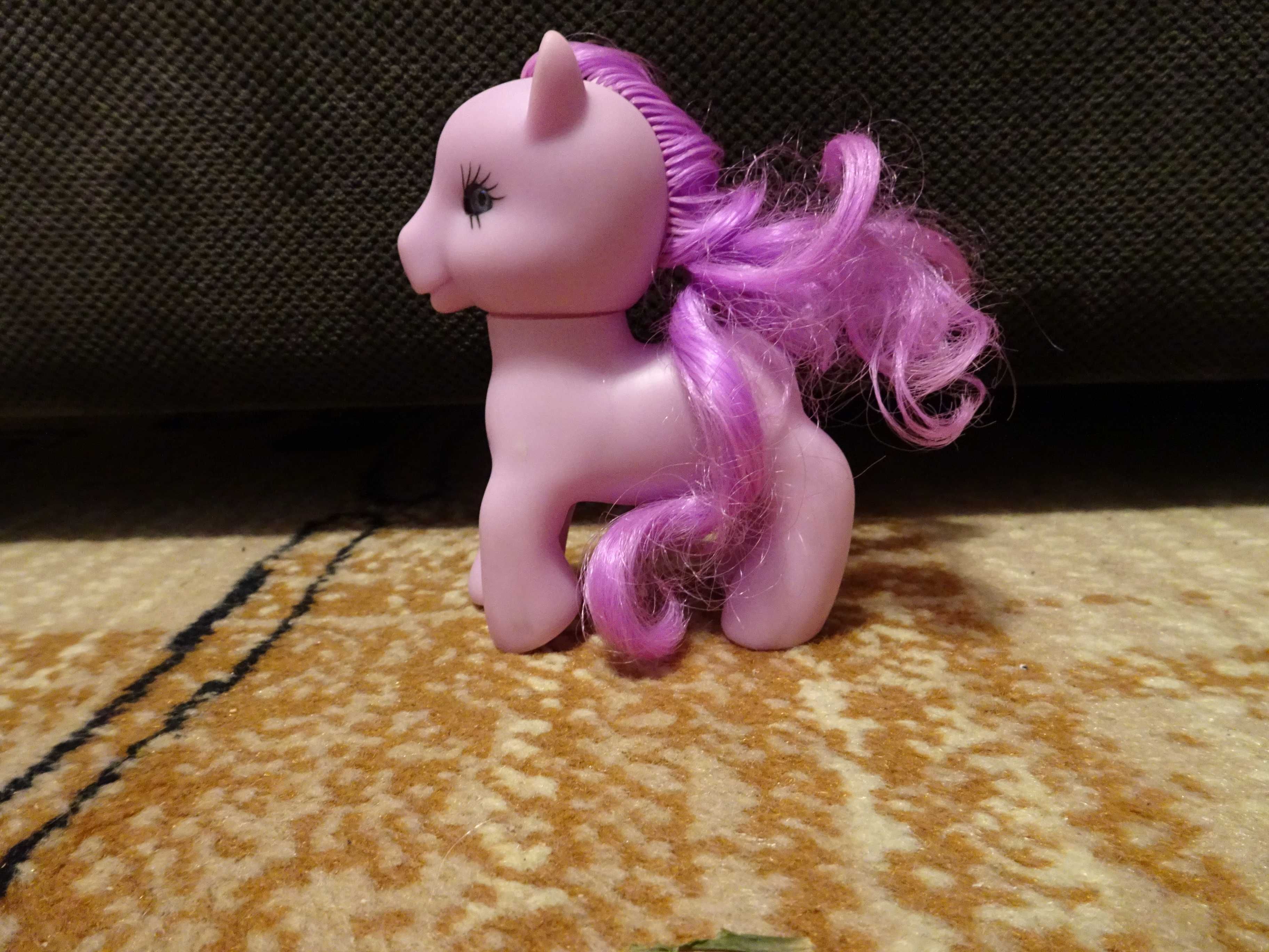 konik My Little Pony