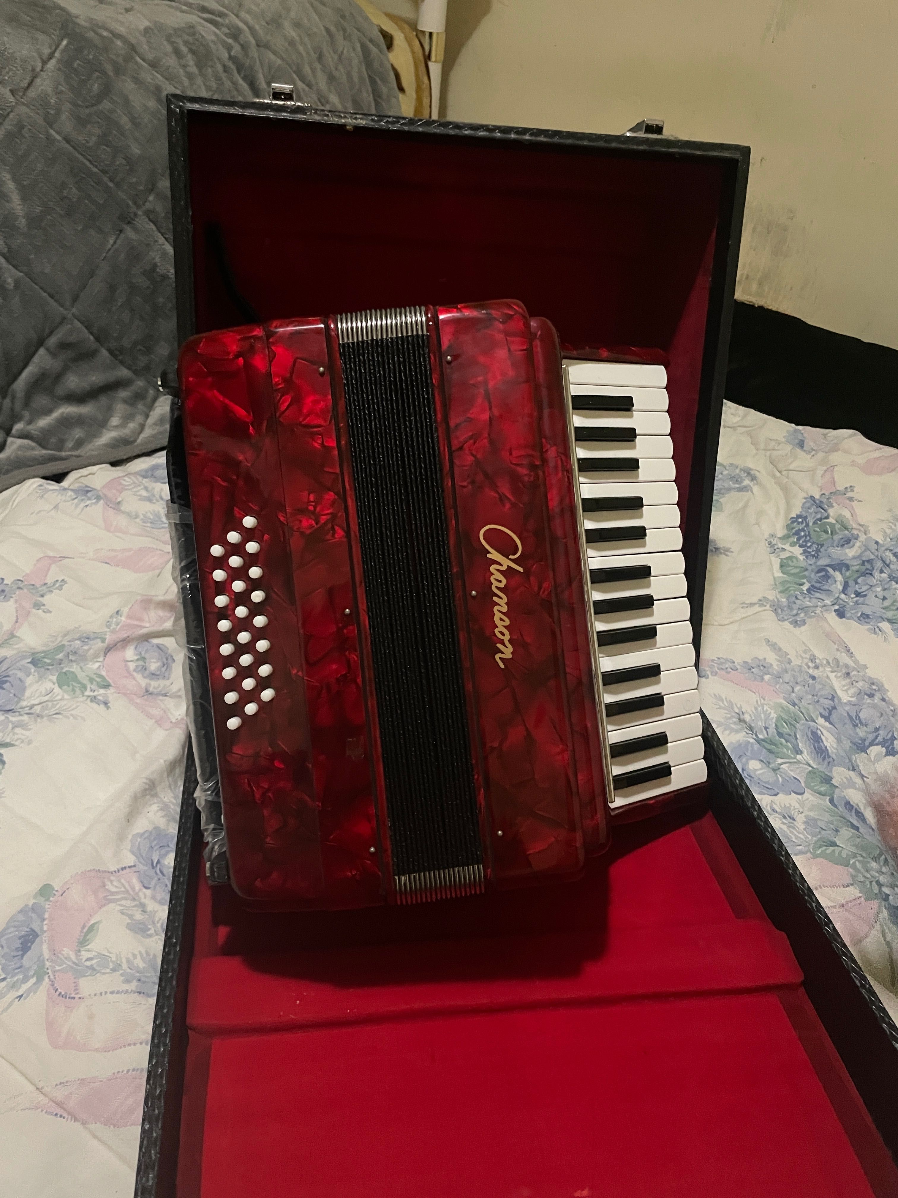 Acordeon chamson de Londres