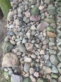 Kamienie skalniak