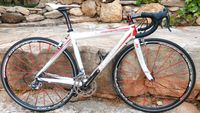 Mafrabike Basso Laguna t50