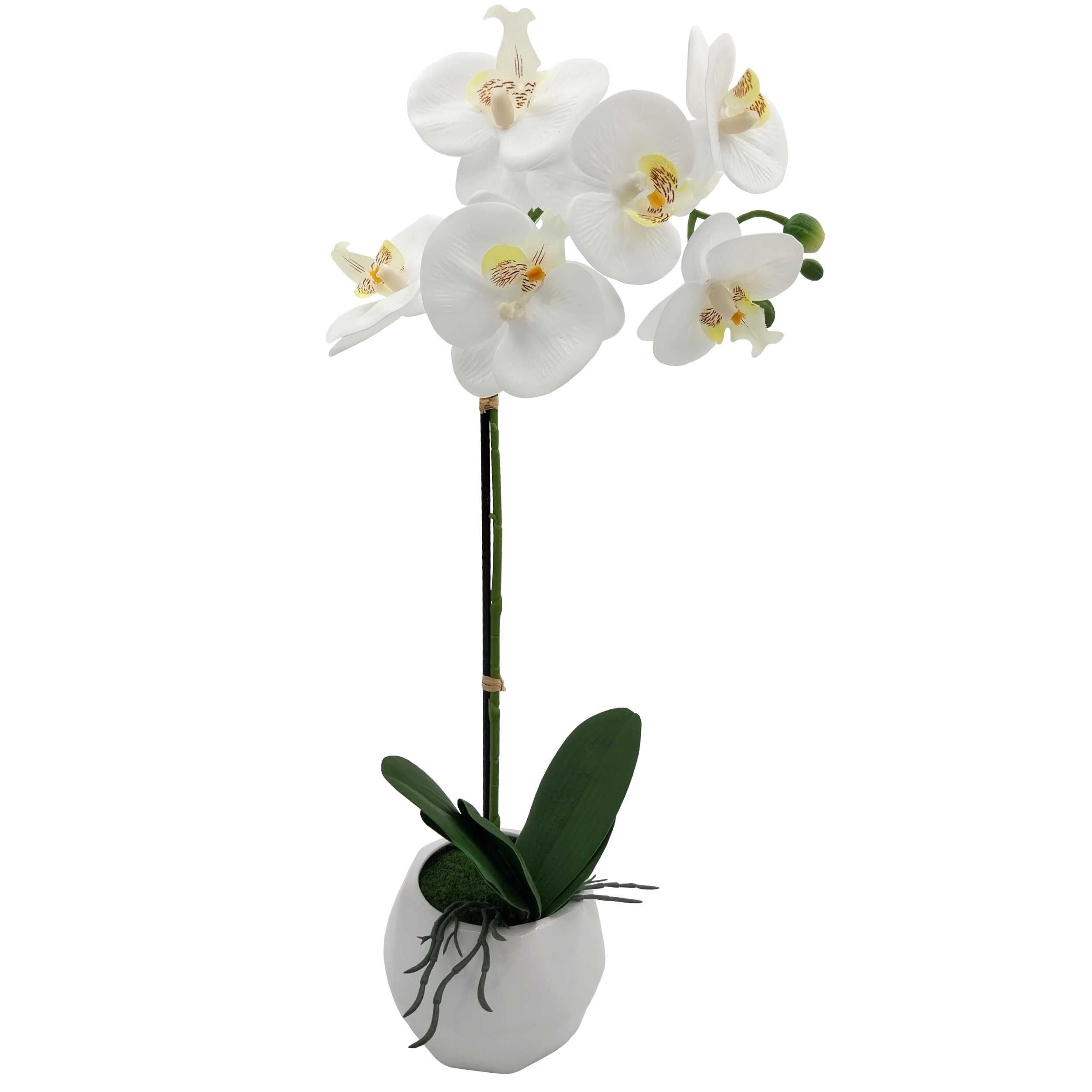 Storczyk sztuczny biały wysoki kwiat w doniczce 50 - 60cm orchidea