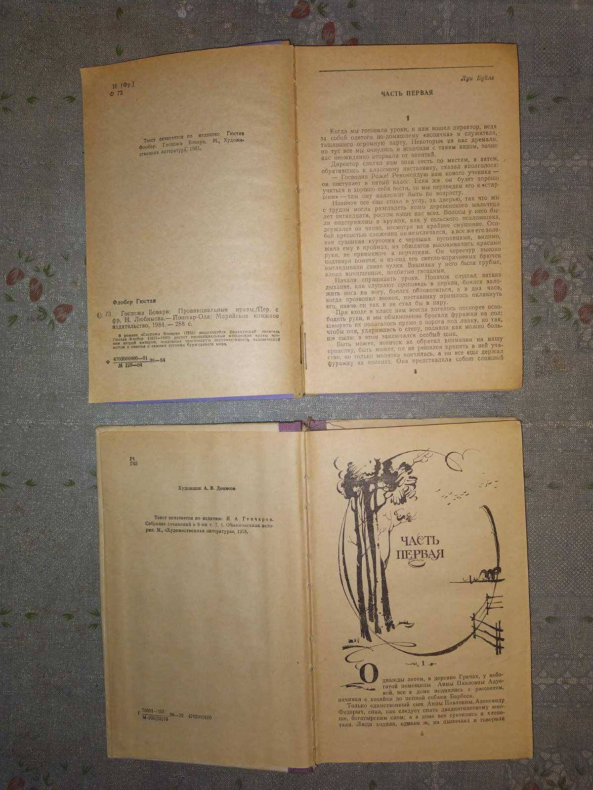 Книги Госпожа Бовари, Г. Флобер и Обыкновенная история, И. А. Гончаров