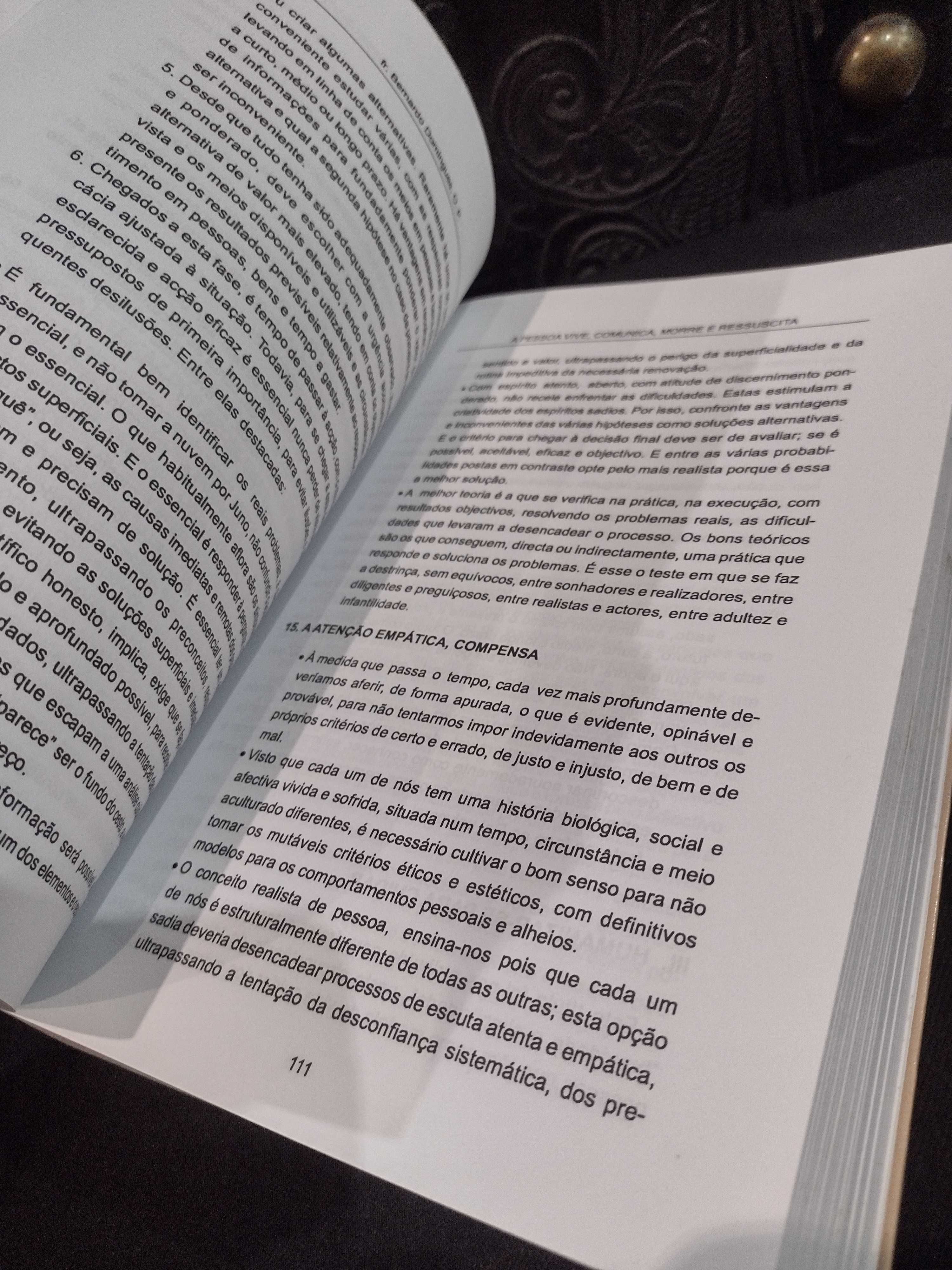 A Pessoa Vive, Comunica, Morre e Ressuscita - Frei Bernardo Domingues