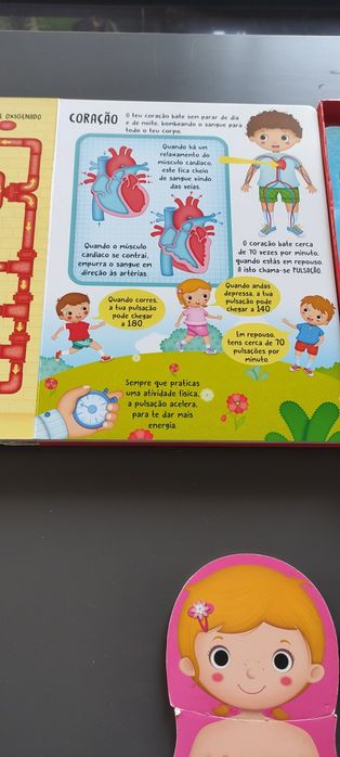 Livro puzzle corpo humano