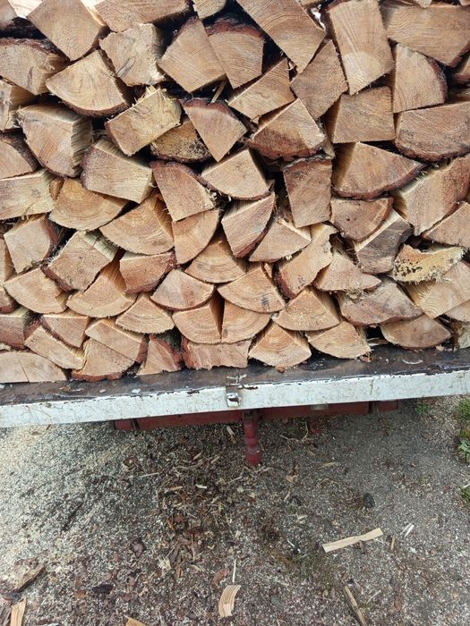 Modrzew sosna drewno