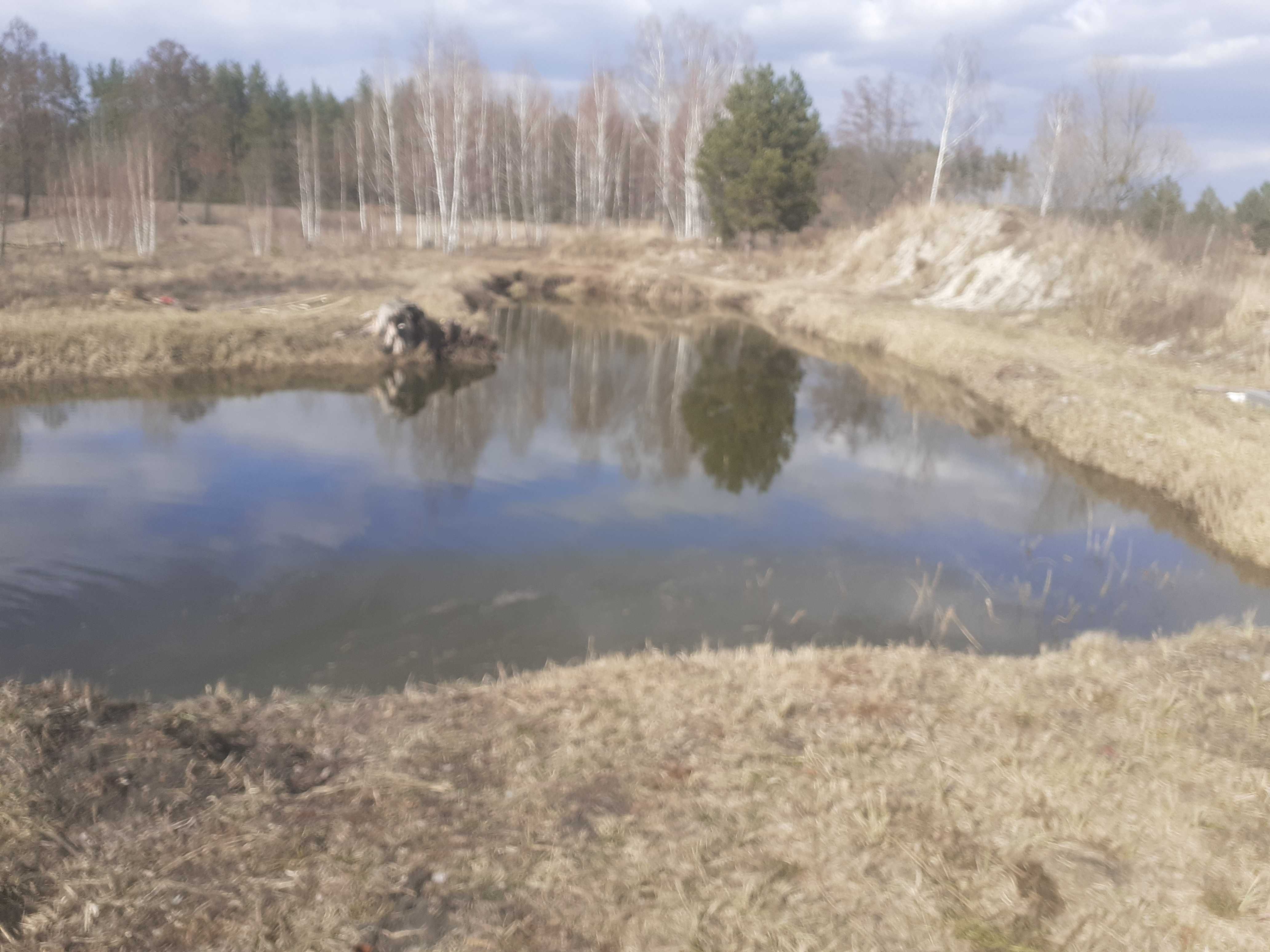 продам  будинок (1 Га+) с.Соснівка Іванківский район Київської області