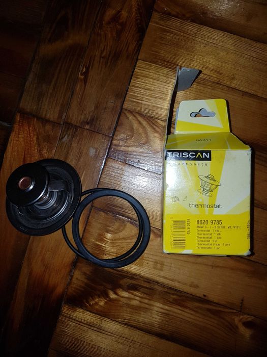 Термостат TRISCAN