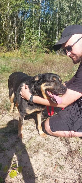 Energiczny seniorek błaga o dom!