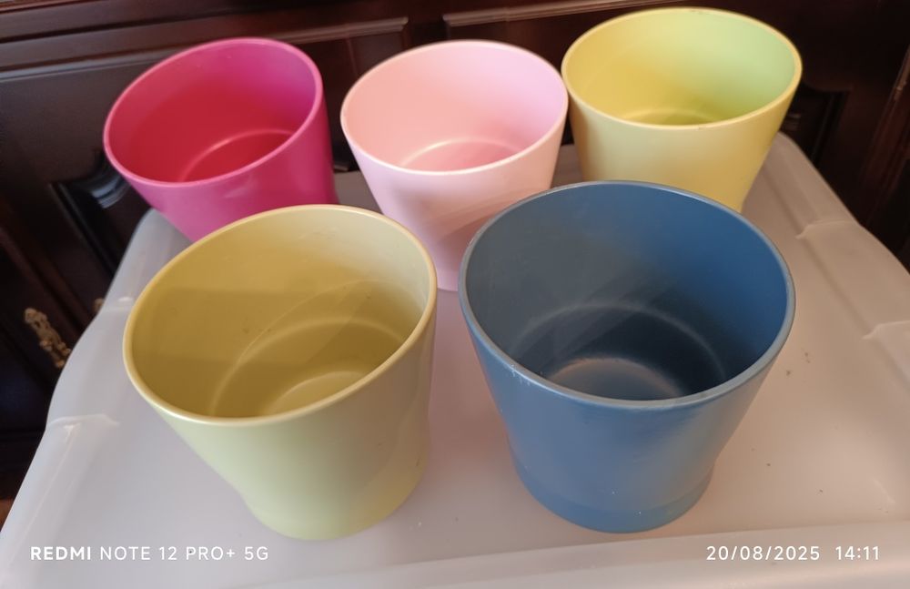 14 cachepots para vasos