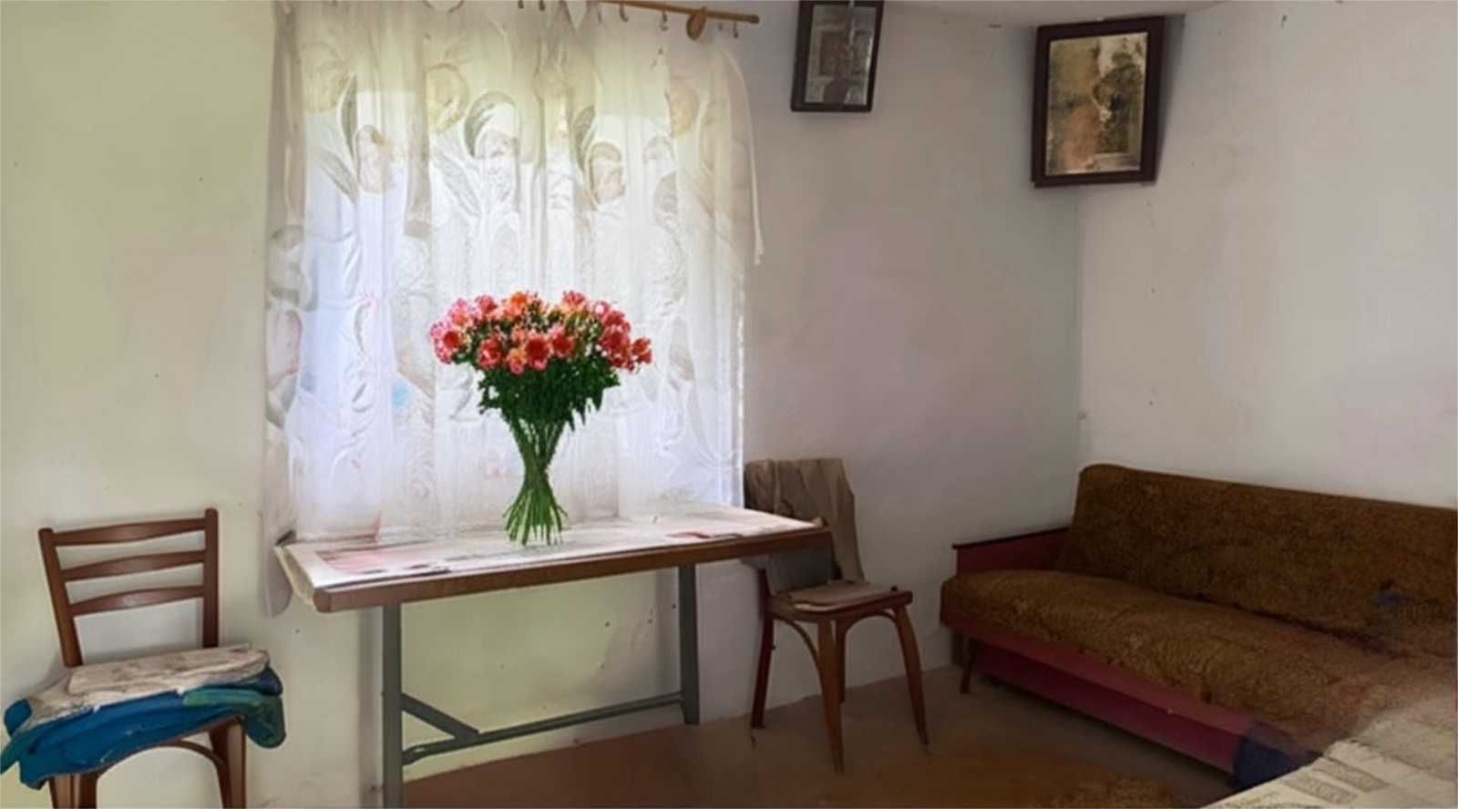 (5)    Продам будинок в с. Хижинці 9081