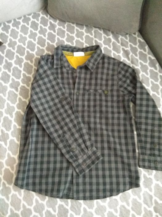 Koszula Coccodrillo , Palomino i Tao r. 104, 110, 116