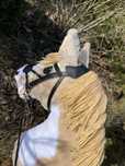 Hobby Horse SPORT