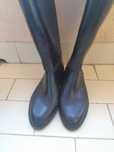 Botas Equitação tamanho 35