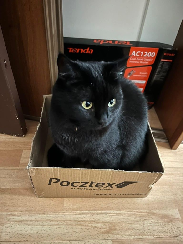Frania szuka domu