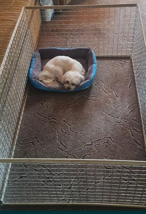 Манеж, Вольер, Клетка, Клітка для собак, щенков, котят, кошек, кролик