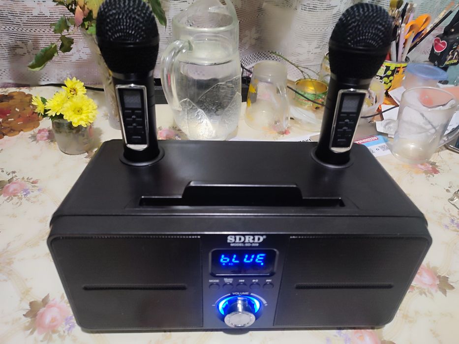 Беспроводная Караоке Система с Двумя Микрофонами