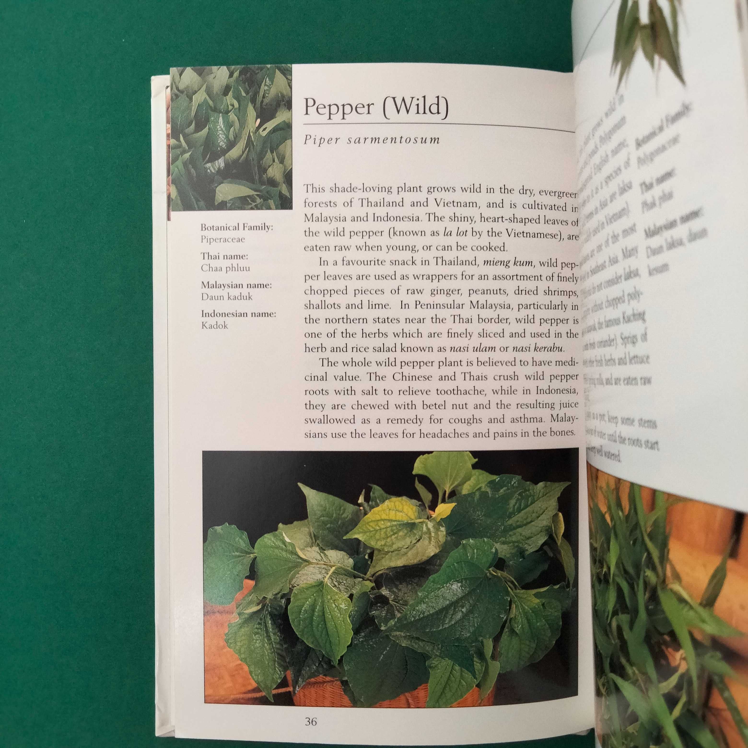 Tropical Herbs & Spices of India & Sri Lanka - Wendy Hutton