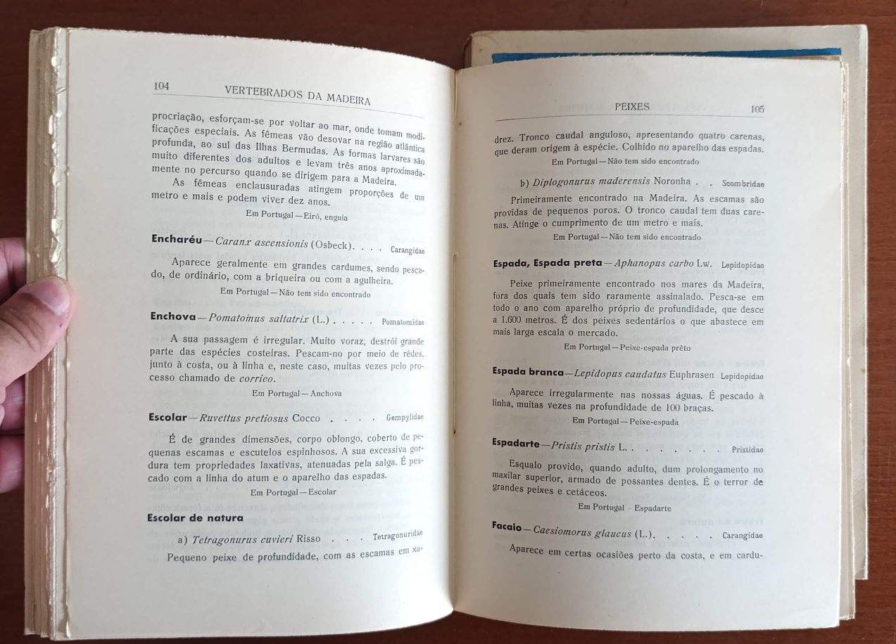 Vertebrados da Madeira - Tenente-Coronel Sarmento