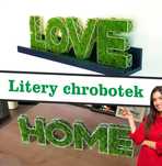Litera ,inicjały, logo z mchem chrobotkiem – naturalna dekoracja 3D