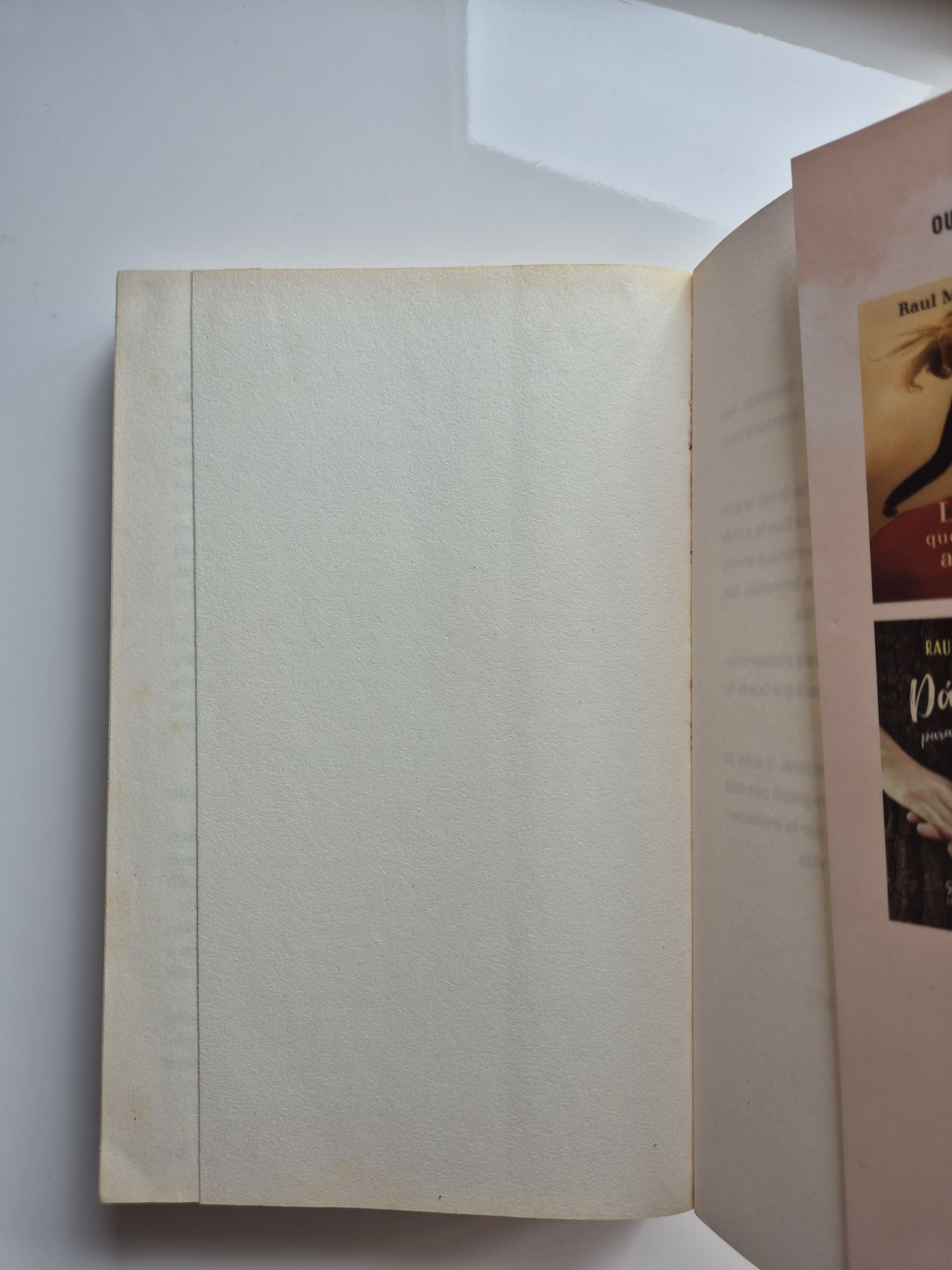 Livro "Durante a queda aprendi a voar" Raul  Minh'alma
