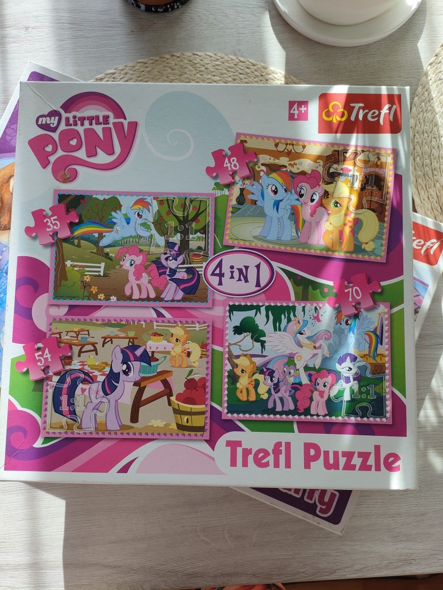 Puzzle my little pony