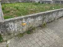 Terreno Moradia 4 frentes com projeto aprovado