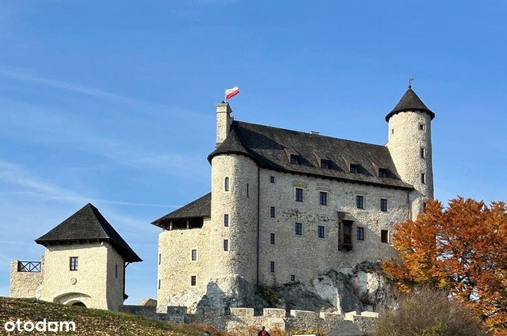 Działki budowlane blisko zamku, uzbrojone w lesie
