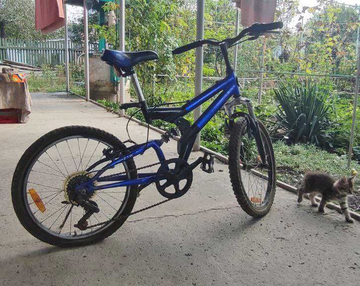 Велосипед підлітковий (дитячий) Winer panda (горний)