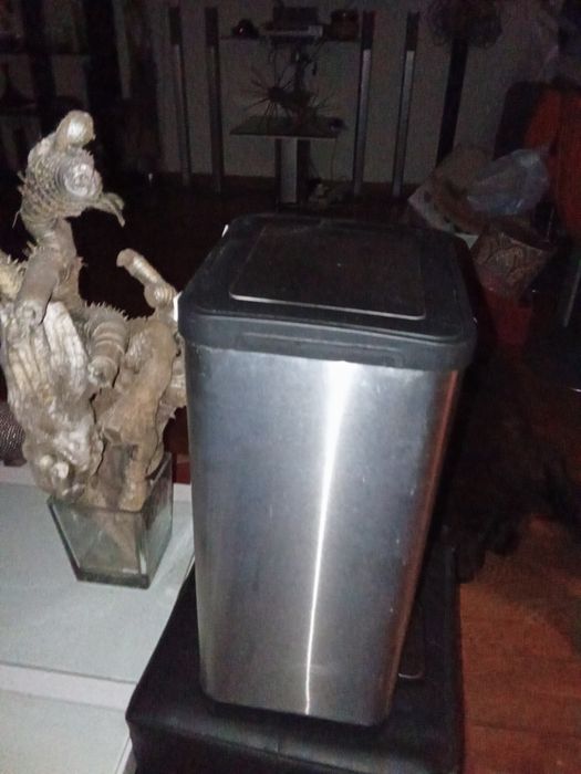 Contentor lixo orgânico