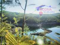 Terreno Florestal com 29000m2 - Alvares