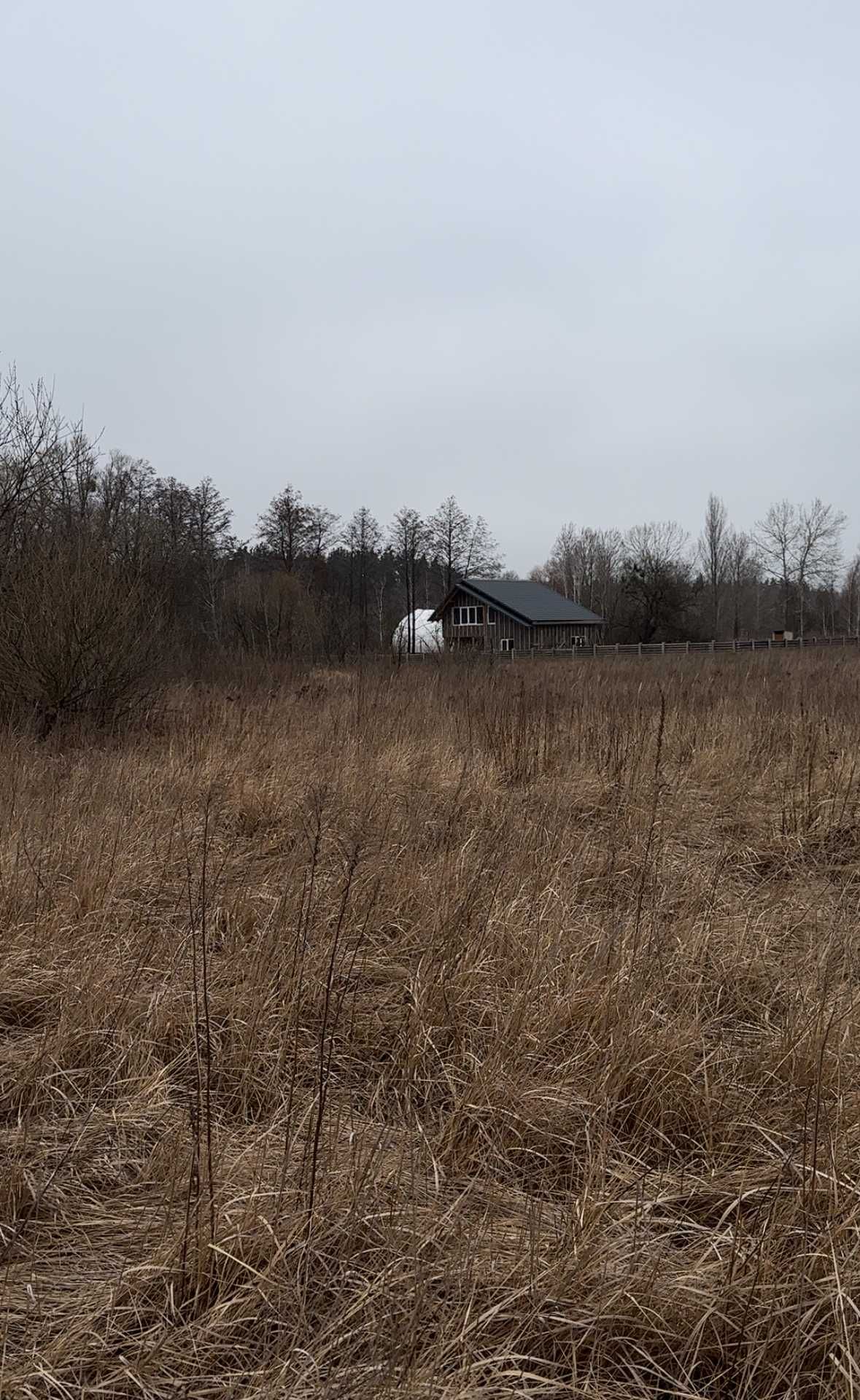 Продам земельну ділянку в Немішаєво