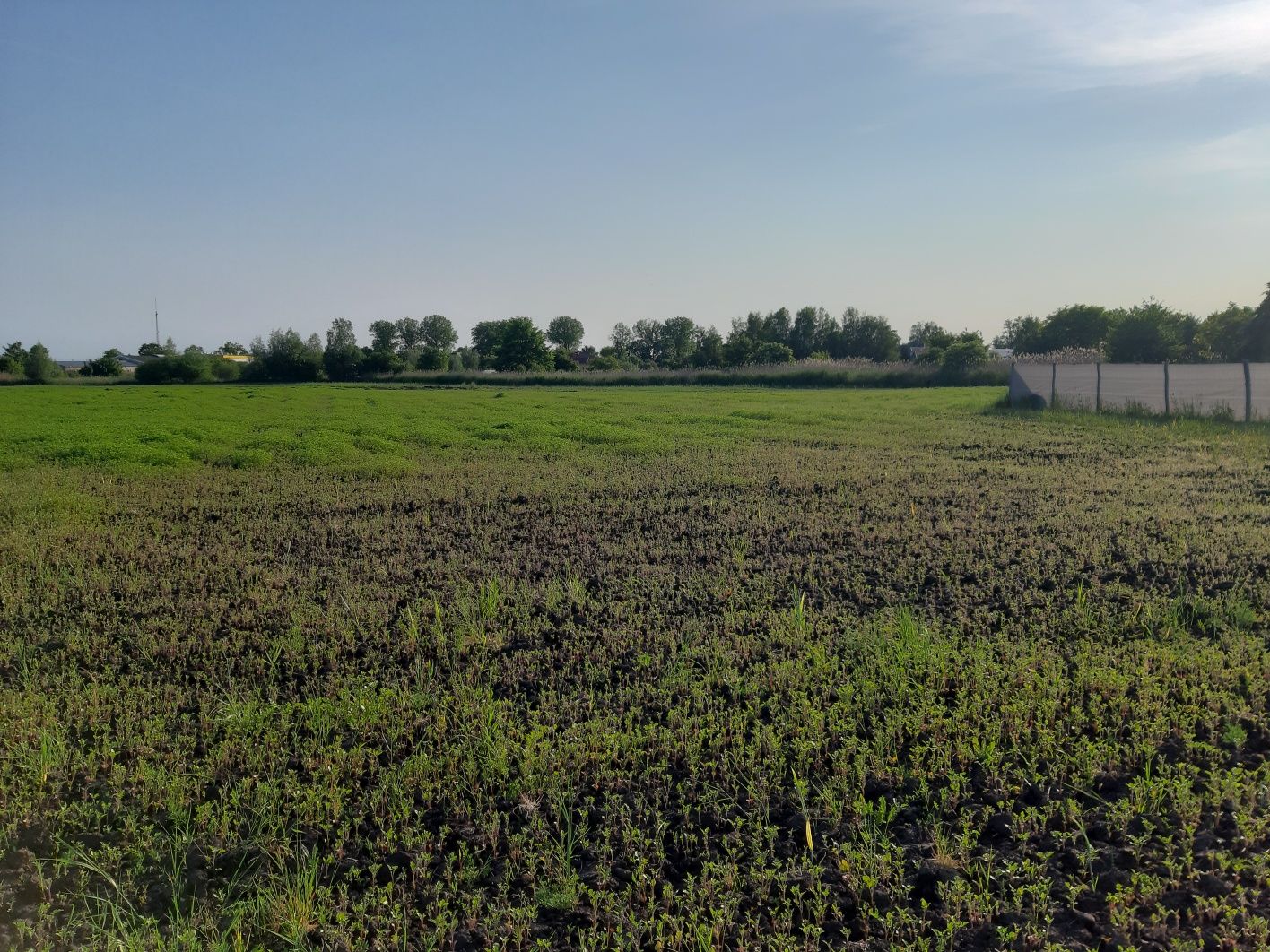 Działki budowlane, Deszczno ul. Wietrzna